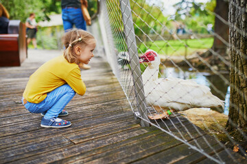 Adorable little girl playing with ducks at farm or in a zoo