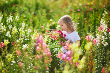 Girl picking beautiful antirrhinum flowers on farm. Outdoor summer activities for little kids.