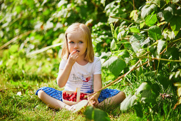 Adorable girl in straw hat picking fresh organic raspberries on farm