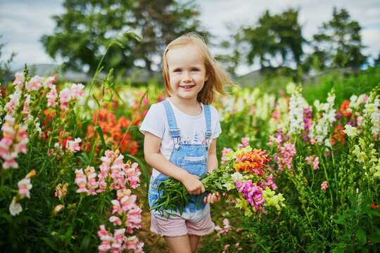 Adorable girl picking beautiful gladiolus flowers on farm