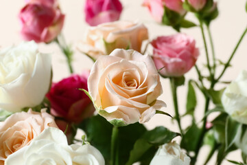Bouquet of beautiful roses on beige background, closeup