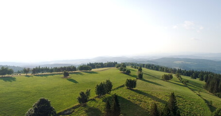 Obraz premium Blue Sky and Forest Drone Shot from Above. Beautiful Landscape View.