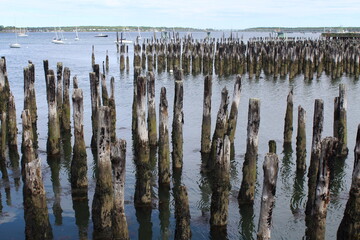 pilings in the ocean