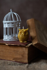 Photo still life candle made of beeswax owl