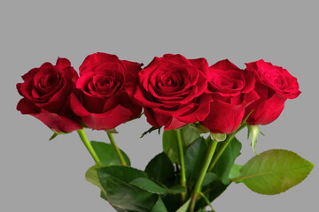 Bouquet of Red Roses in a Vase Isolated on a Gray Background