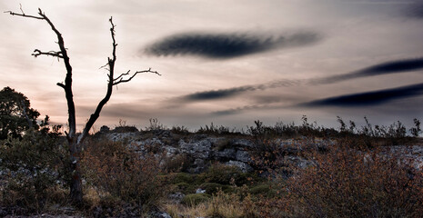 Fototapeta na wymiar Landscape with foggy sunset