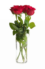 Bouquet of Red Roses in a Clear Glass Vase Isolated on a White Background