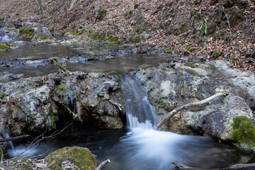 creek waterfall in green forest