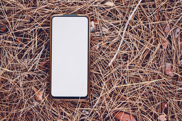 New smart phone over an organic texture of pine needles
