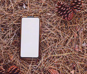 New smart phone over an organic texture of pine needles