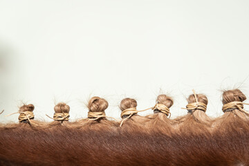 Close up detail of traditional bottom braids doma vaquera