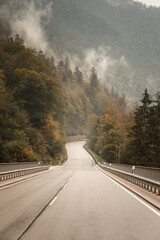 Beautiful foggy road during fall season