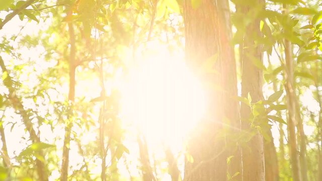 Hitze in Deutschland im Fr&uuml;hling