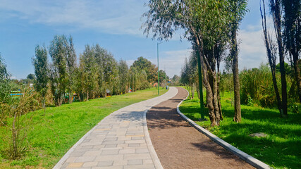 Fototapeta na wymiar Xochimilco Park - Mexico city