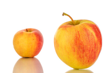 Two red juicy apples, macro, isolated on white.