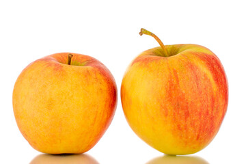 Two red juicy apples, macro, isolated on white.