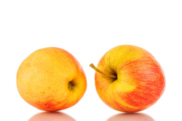 Two red juicy apples, macro, isolated on white.