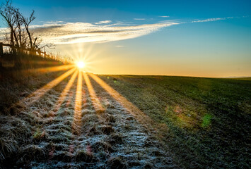 sunset over the field