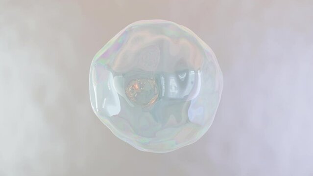 Liquid abstract shape 4K animation. Amorphous holographic shell object on a soft light background. Seamless looped 3D video