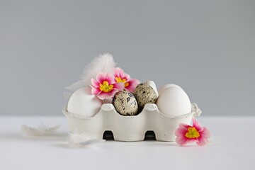 Chicken and quail eggs in eco-friendly packaging on light pastel background. Selective focus
