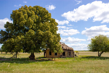 Obraz premium landscape with a tree and a house