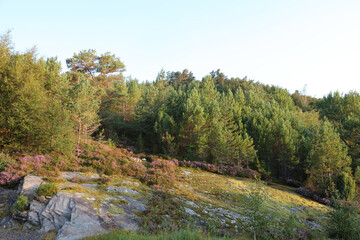 Norwegen - Felsen nahe Nordrevik und Vadheim / Norway - Rock near Nordrevik und Vadheim /