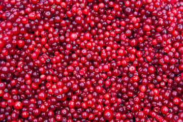 A bunch of cranberry berries close-up.