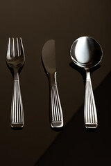 Cubiertos de acero inox sobre base reflejante