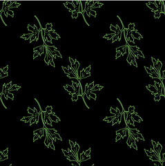 a pattern of a sprig of green parsley on black. seamless pattern of hand-drawn twig green outline of parsley in sketch style, repeating the pattern on a square template for packaging design