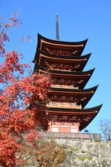 厳島神社の五重塔と紅葉