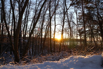 Nice forest photo during the winter. Snow and relaxing weather outside.  Early morning with sunrise. Stockholm, Sweden, Europe. 