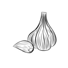  Vector garlic element on isolated background.