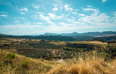 Andalusia landscape, Spain