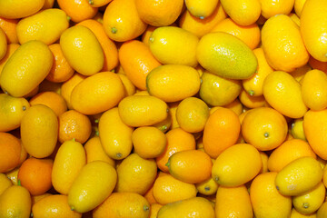 Farm organic citrus kumquat. Natural vitamins in a retail grocery store. Selective focus with copy...
