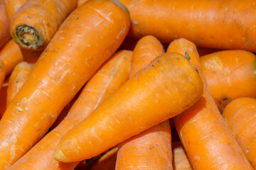 Farm organic carrots. Natural vitamins in a retail grocery store. Selective focus with copy space