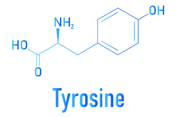 Tyrosine or l-tyrosine, Tyr, Y, amino acid molecule. Skeletal formula.