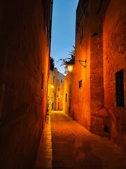 Malta Island Mediterranean Sea