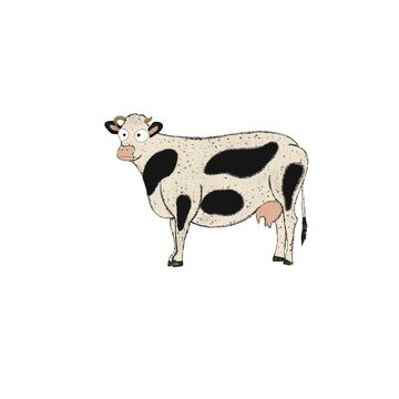 Funny cow on white background. Cute kid’s illustration with farm animal. Isolated 