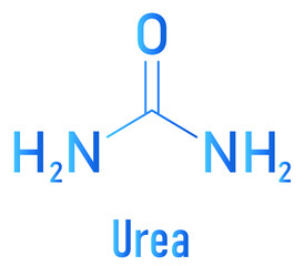Urea or carbamide molecule. Used in cosmetics, fertilizer; present in urine. Skeletal formula.