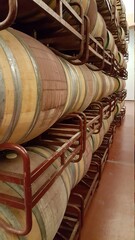 wooden barrels with rested wine in cellar