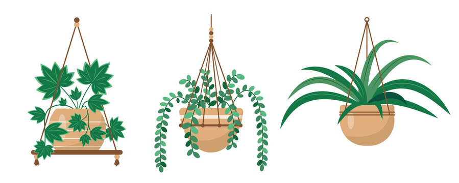 Hangers for decorative house plants or flowers in pots. Hanging macrame pots for indoor Home or office garden. Flat or cartoon icons vector illustration for interior decor and botanical design.
