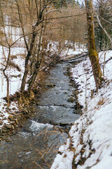 Mountain stream against forest in winter