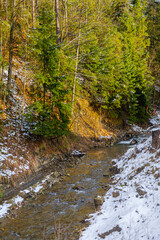 Mountain stream against forest in winter