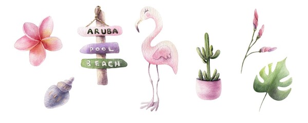 a cute hand drawn summer tropical set with a pink flamingo, signpost, magnolia flower, shell, cactus, monstera leaf and a tropical branch  