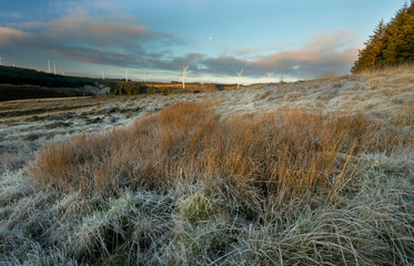 Fototapeta premium Turbines and the moon