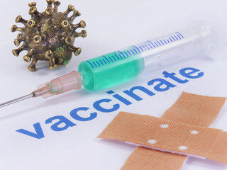 Coronavirus vaccine syringe and plaster icon image