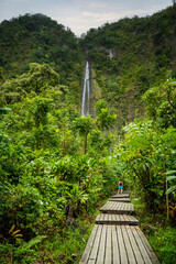 woman on path looking at waterfall