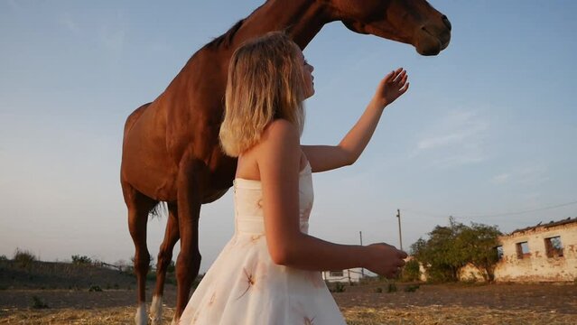 photo shoot young blonde woman with horses in countryside.