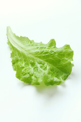 Fresh salad leaf isolated on white background