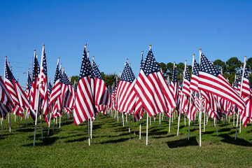 Field of American Flags under a blue sky